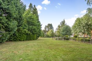 Photo 29- click for photo gallery